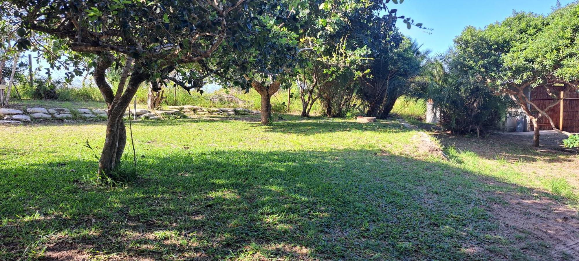 Kingfisher Bush Lodge Enkovukeni Szoba fotó