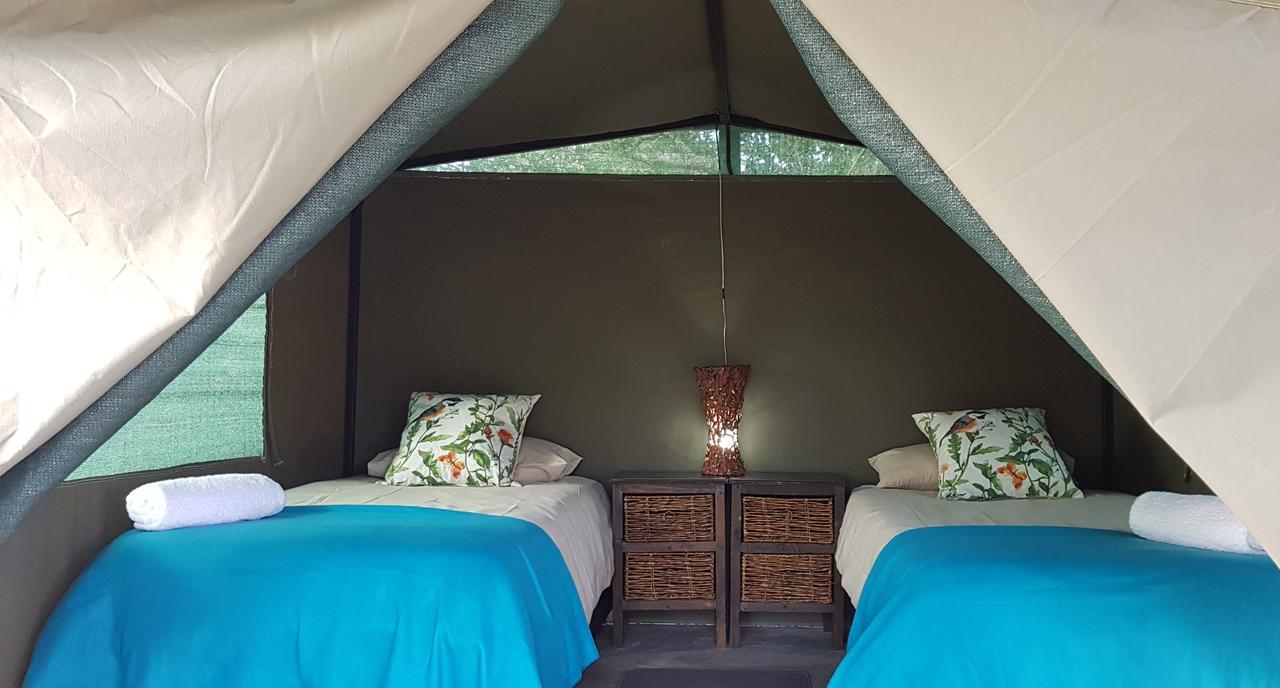 Kingfisher Bush Lodge Enkovukeni Kültér fotó